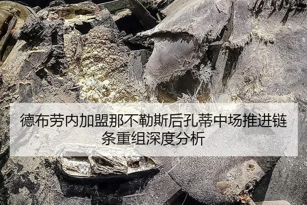 de-bu-lao-nei-jia-meng-na-bu-le-si-hou-kong-di-zhong-chang-tui-jin-lian-tiao-chong-zu-shen-du-fen-xi-2-663.jpg