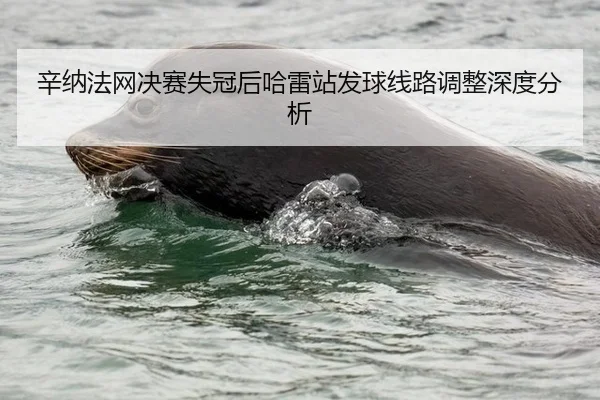 辛纳法网决赛失冠后哈雷站发球线路调整深度分析